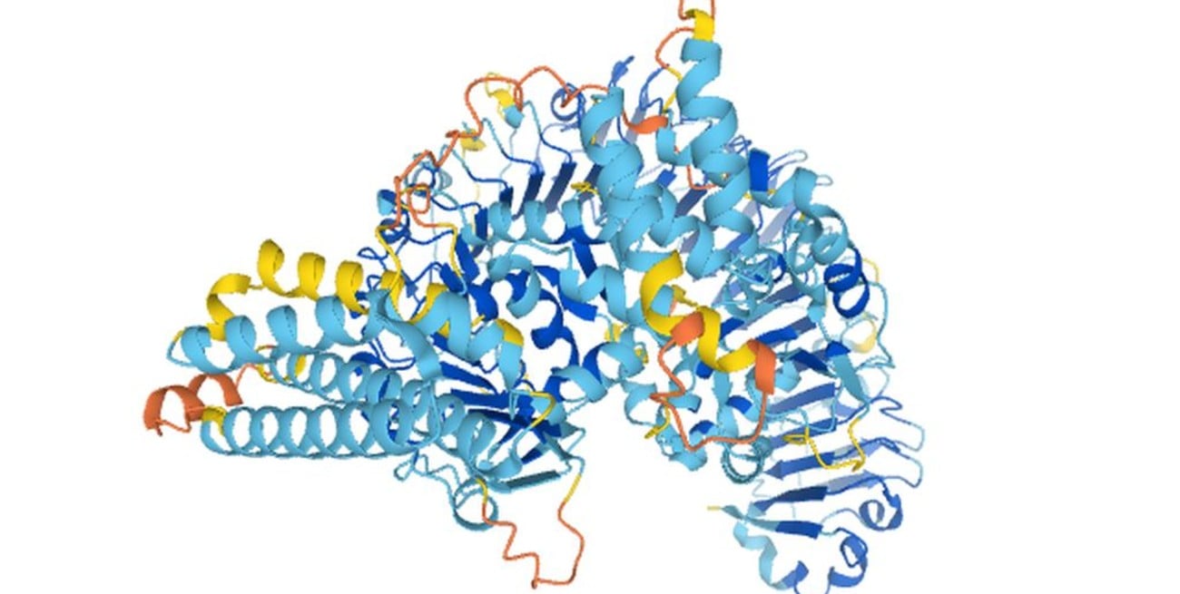 Finalmente, la inteligencia artificial logró revelar la forma de las proteínas humanas