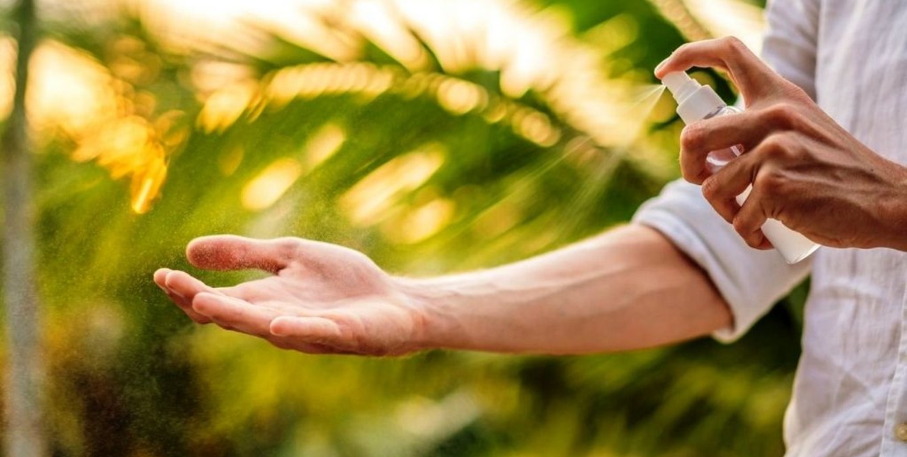 La UNLA desarrolló un insecticida para mosquitos, moscas y vinchucas que no daña el medio ambiente