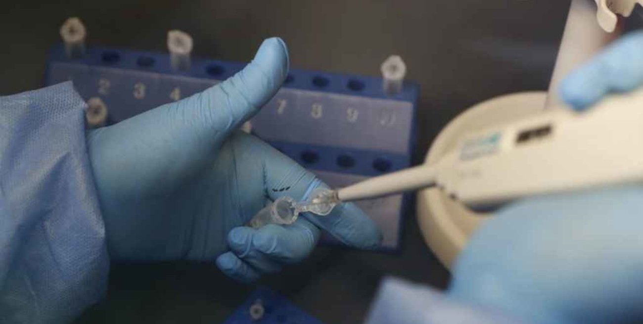 Covid-19: Estados Unidos aprueba de emergencia el tratamiento con anticuerpos monoclonales 