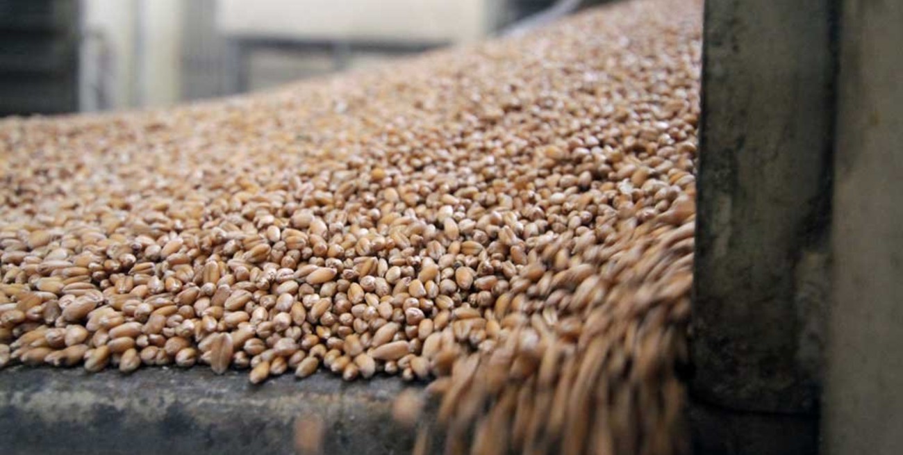 La Bolsa de Rosario suspendió a Vicentin como operadora del Mercado de Granos