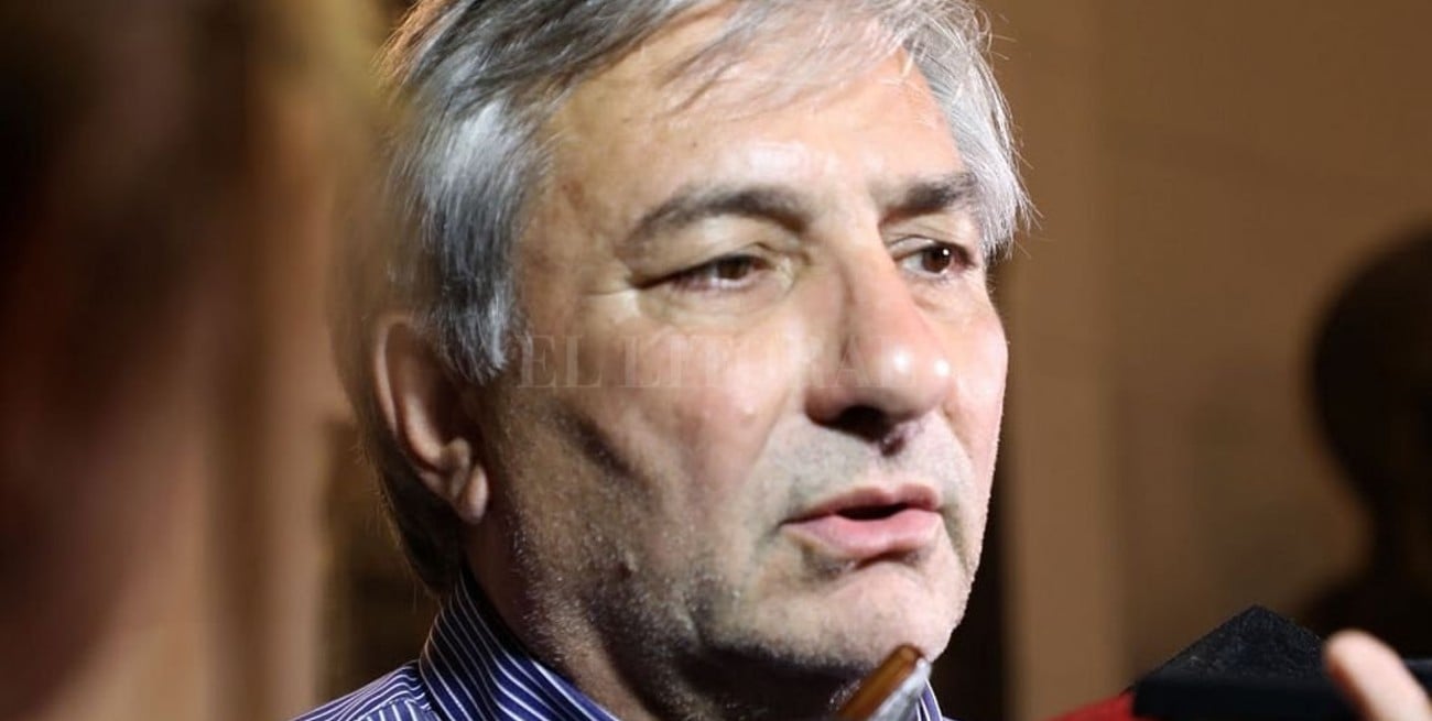 Michlig: "La situación del Estado es extrema, hay dificultades muy serias"