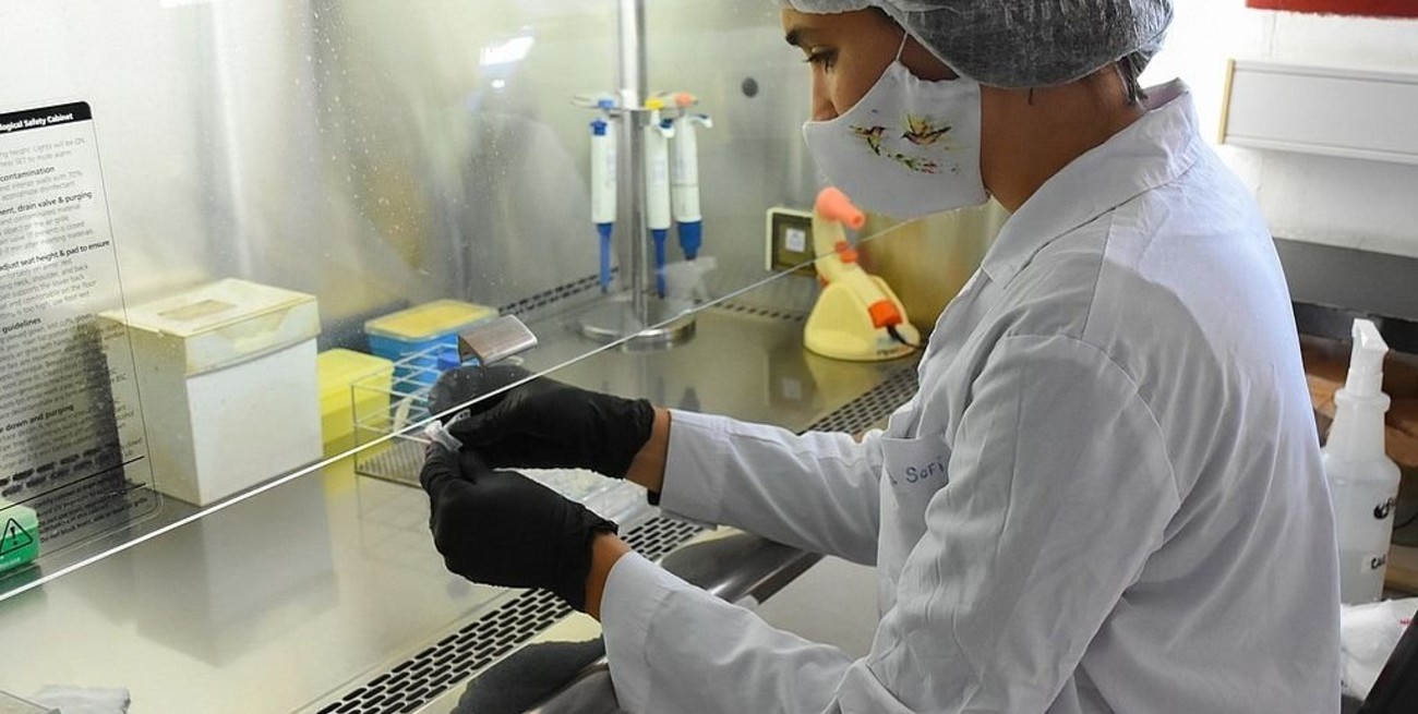 El equipo santafesino que logró un fondeo clave para avanzar en la cura del Alzheimer