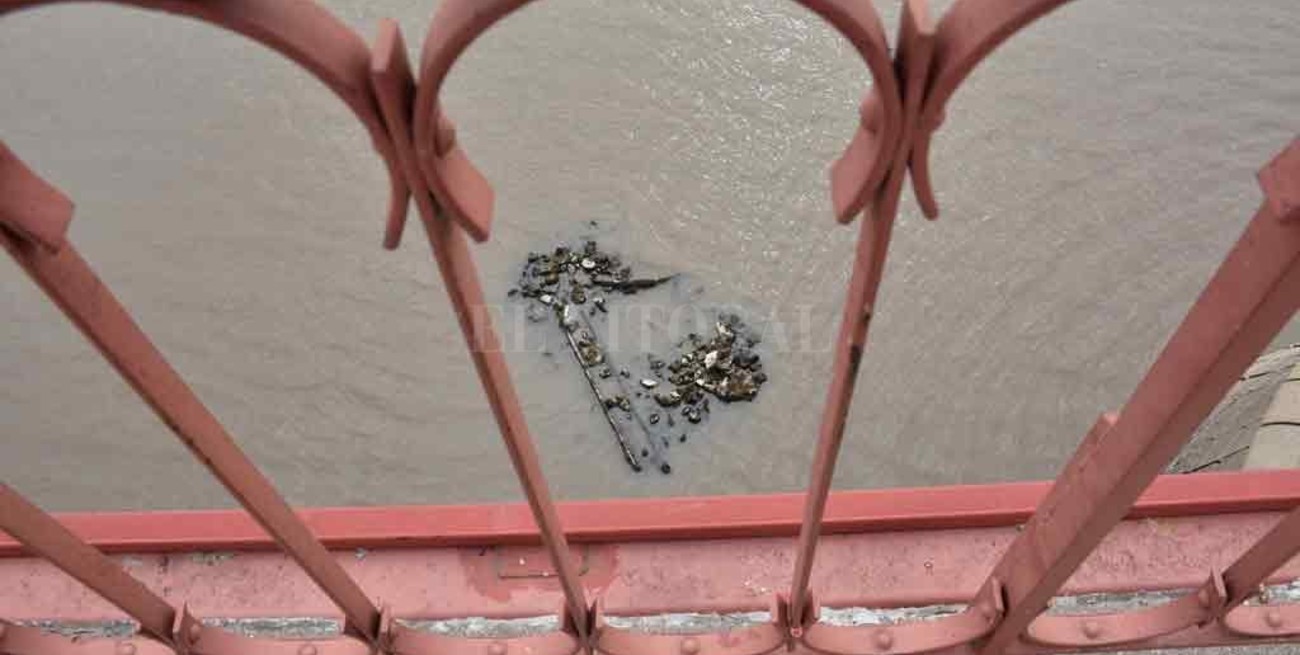 Aparición bajo el Puente Colgante: un viejo viaducto o los escombros de una escuela