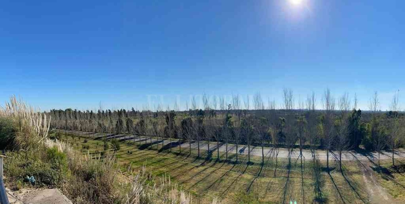 Colonia San José pone en marcha su Plan de Forestación 2021