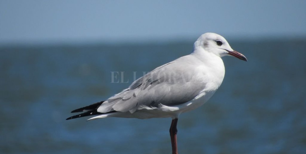 Línea directa y llegan cartas