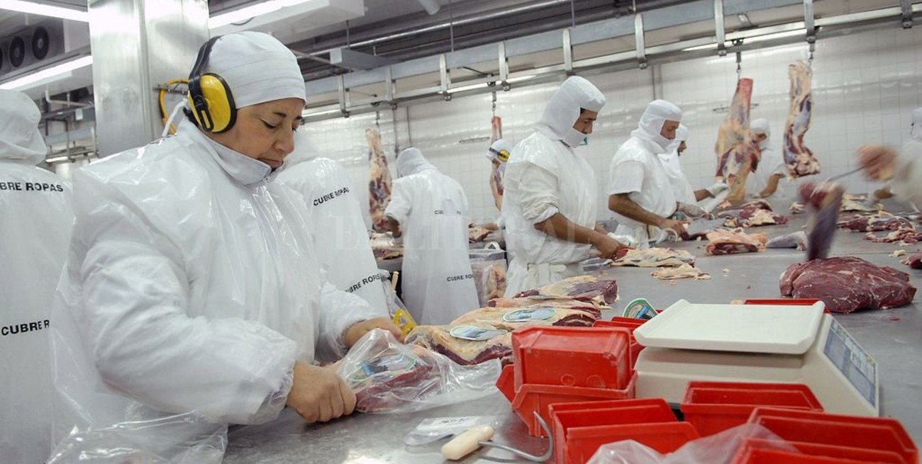 Crecen 25% las exportaciones de carne en agosto, respecto de julio, pero caen 17% interanual