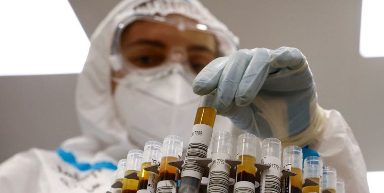 Contraer coronavirus crea inmunidad durante al menos seis meses, afirma un estudio de Oxford 