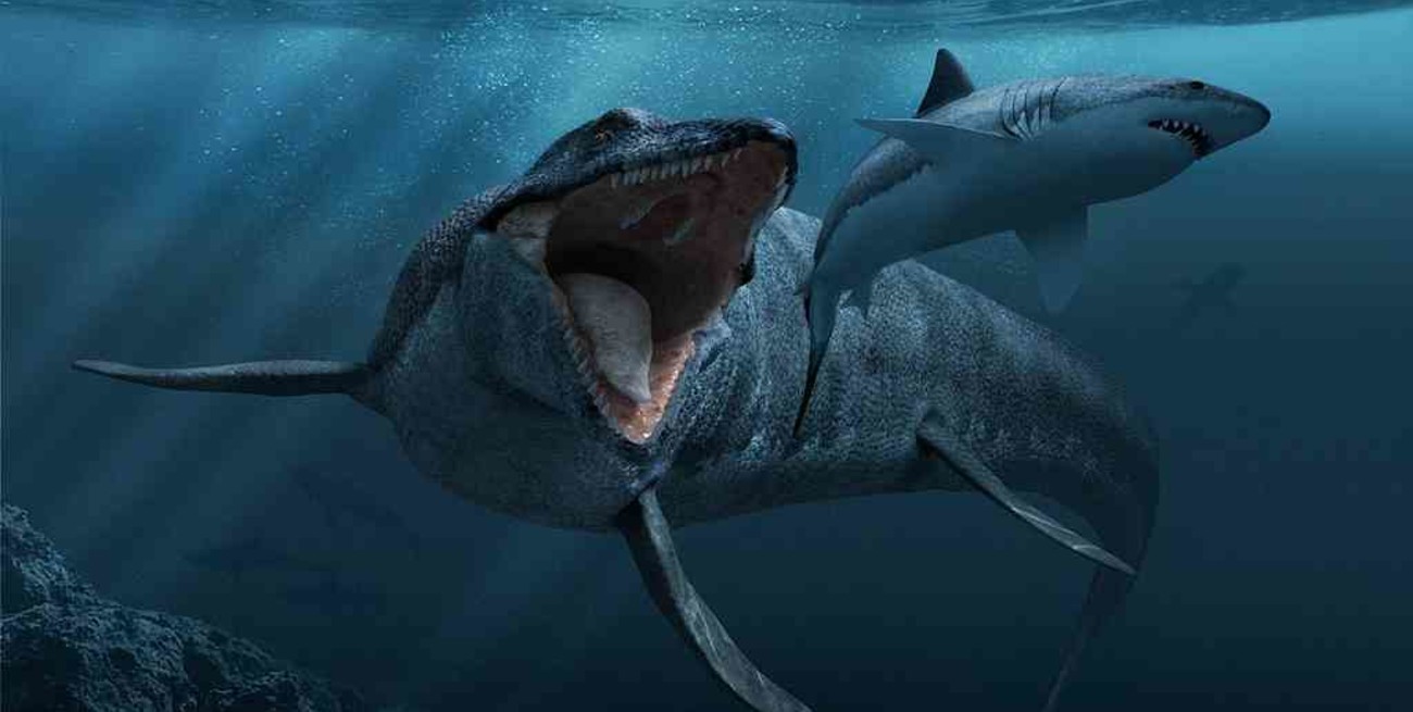 Hallaron restos de un gigantesco reptil marino en Chile