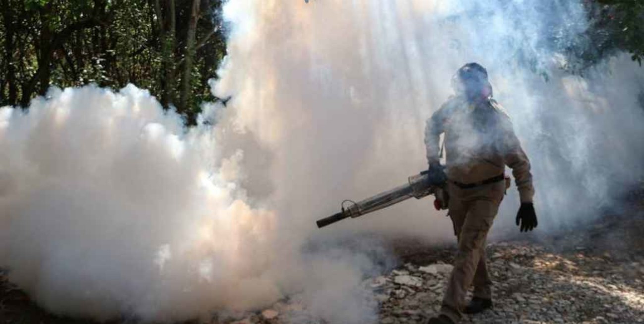 China logró erradicar la malaria tras combatirla durante 70 años 