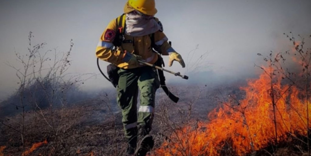 Entre Ríos volvió a registrar un foco activo de incendio forestal