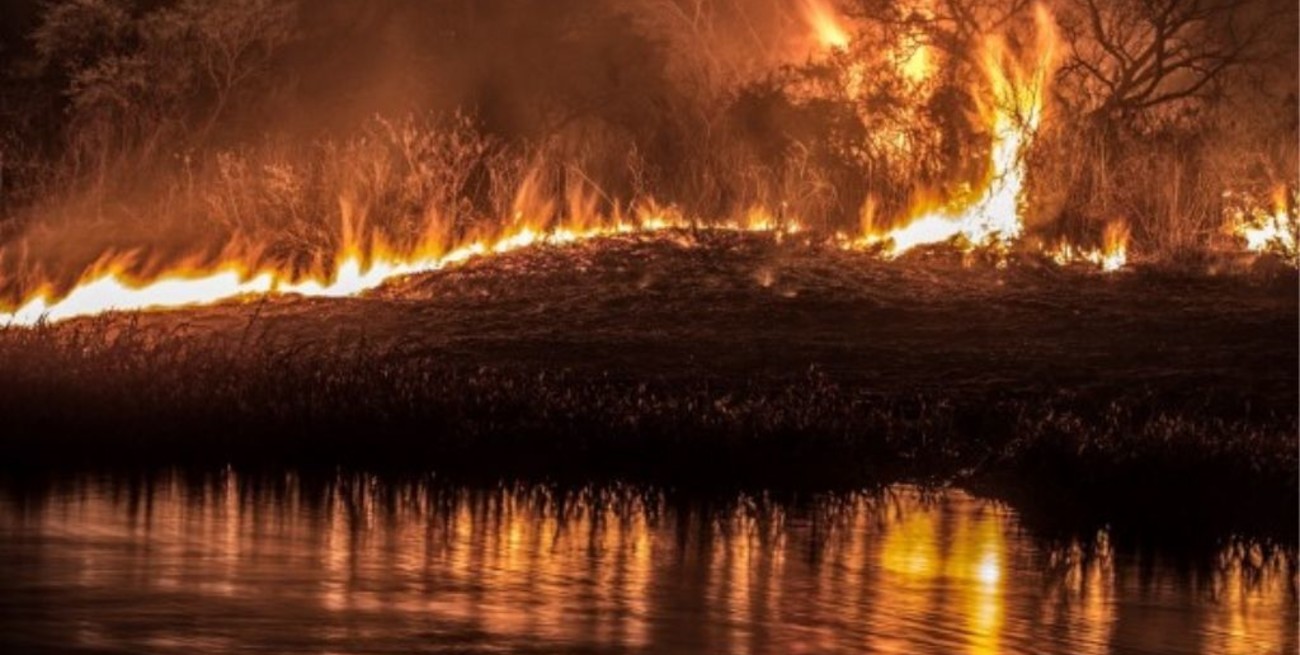 Intervienen en el delta del Paraná luego de detectar nuevos incendios en las islas