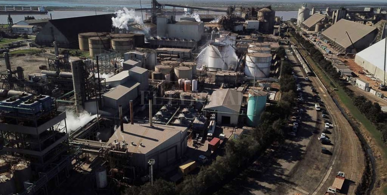 "Teníamos que rescatar a Vicentin, que es muy importante y estaba a punto de la quiebra"