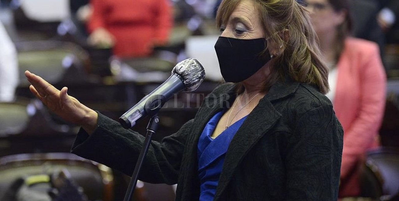 Alcira Figueroa juró como diputada nacional en reemplazo de Juan Amerí