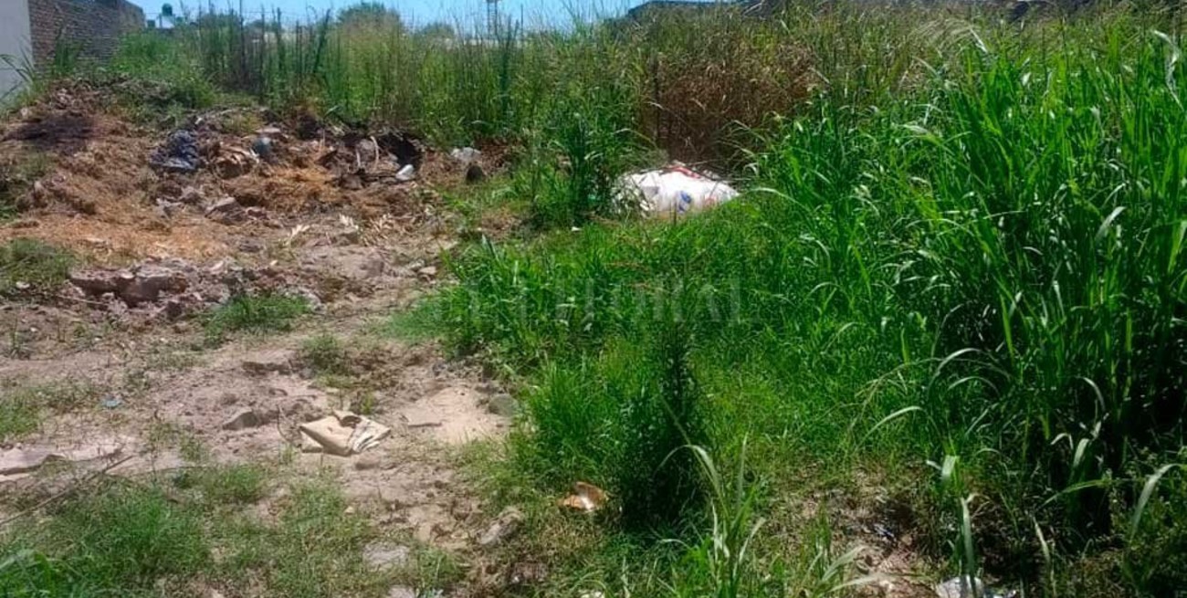 En Altos de Noguera conviven con la inseguridad y el abandono