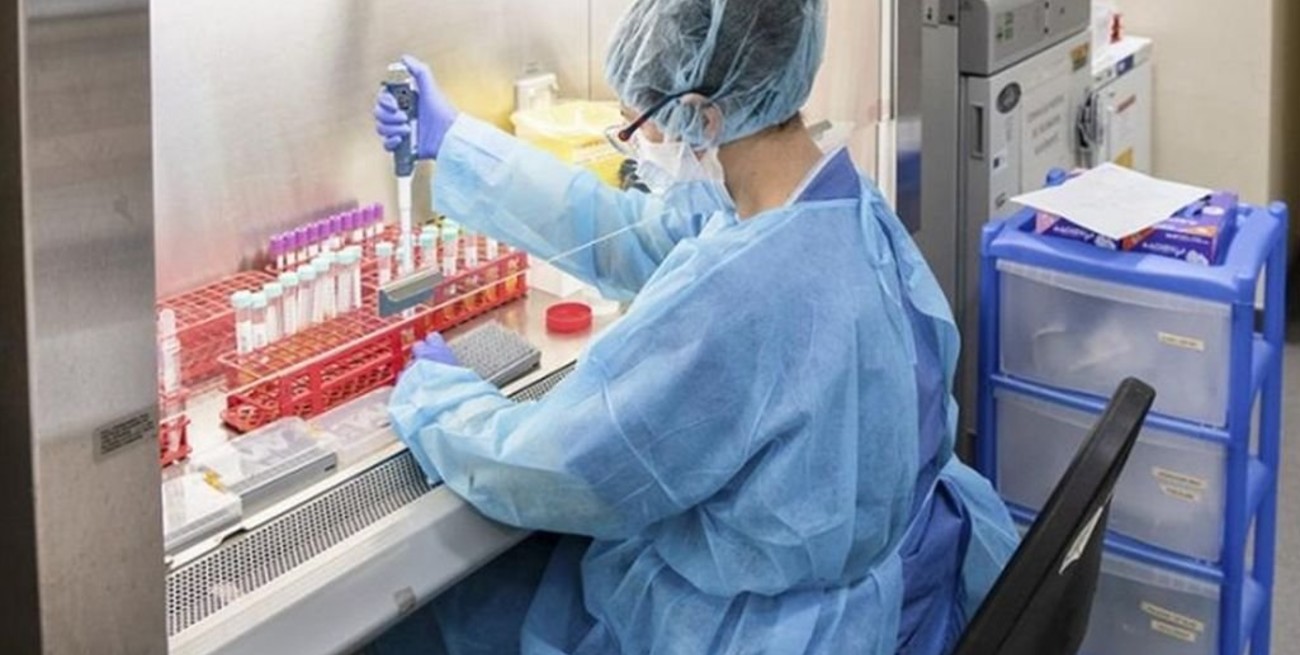 Se prevé que para fines del 2022 la vacuna argentina Arvac esté en fase 1