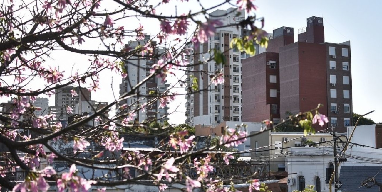 La Municipalidad organiza una charla sobre el monto de los alquileres