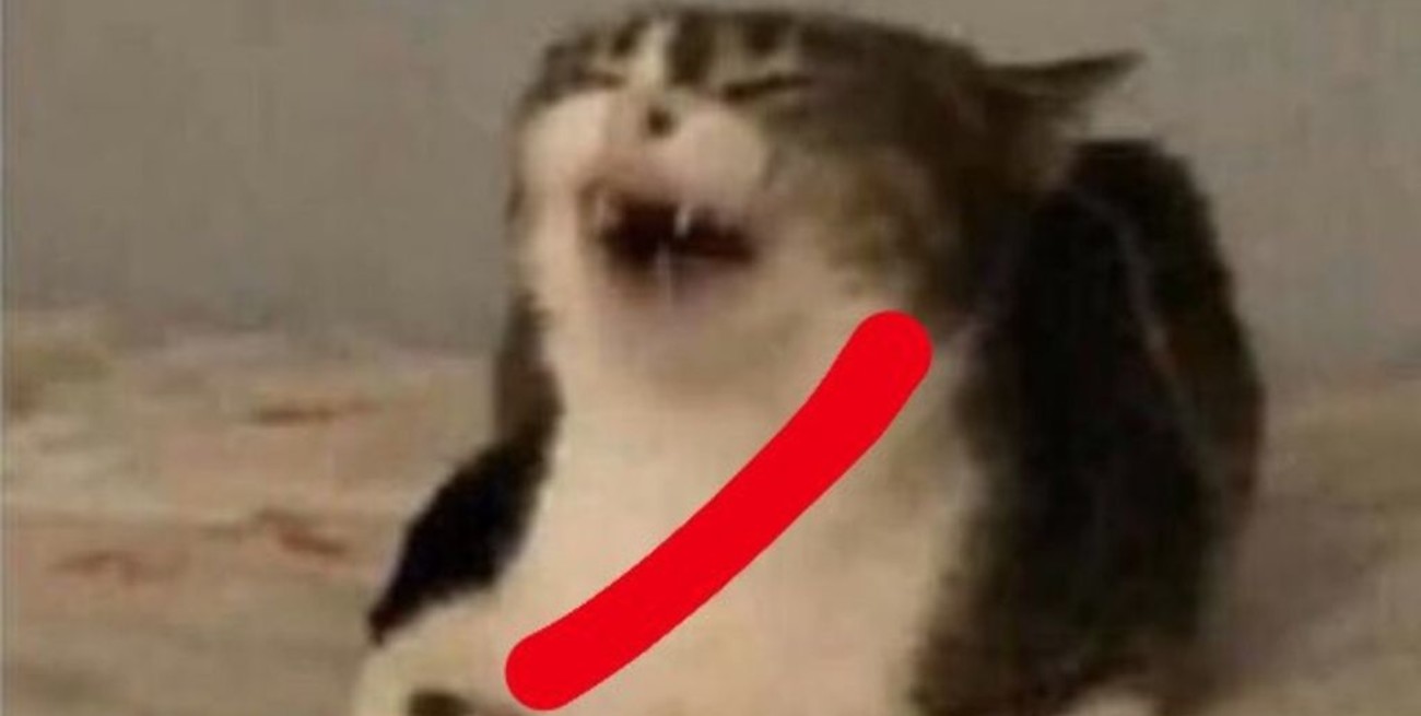 Los memes más divertidos de la actuación de Enzo Pérez como arquero