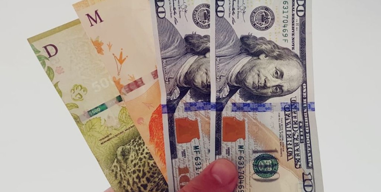 Dólar hoy: el oficial abre estable y el "blue" aumenta a $ 170