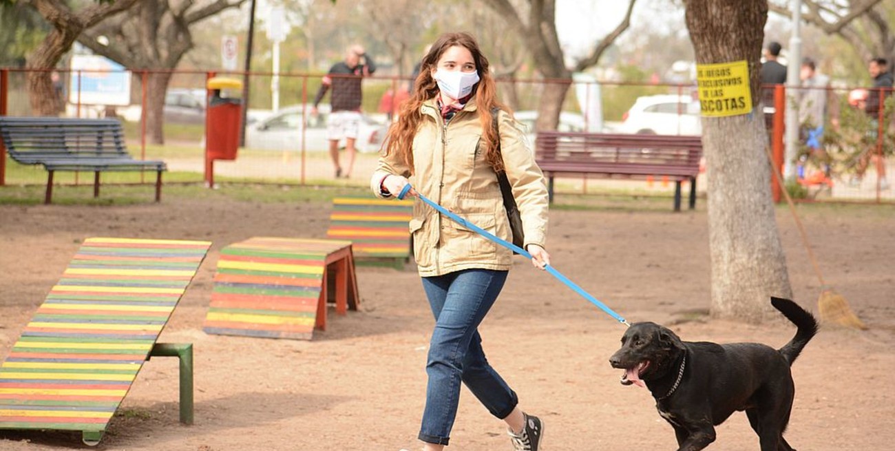 Castelló y Mudallel impulsan la creación de un Hospital Veterinario Público