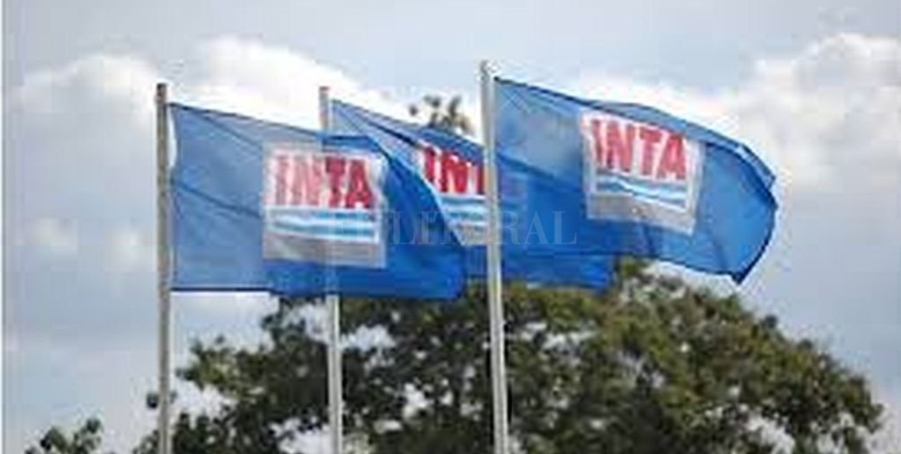 El INTA apoya con reactivos y equipamiento al Malbran para la detección de casos