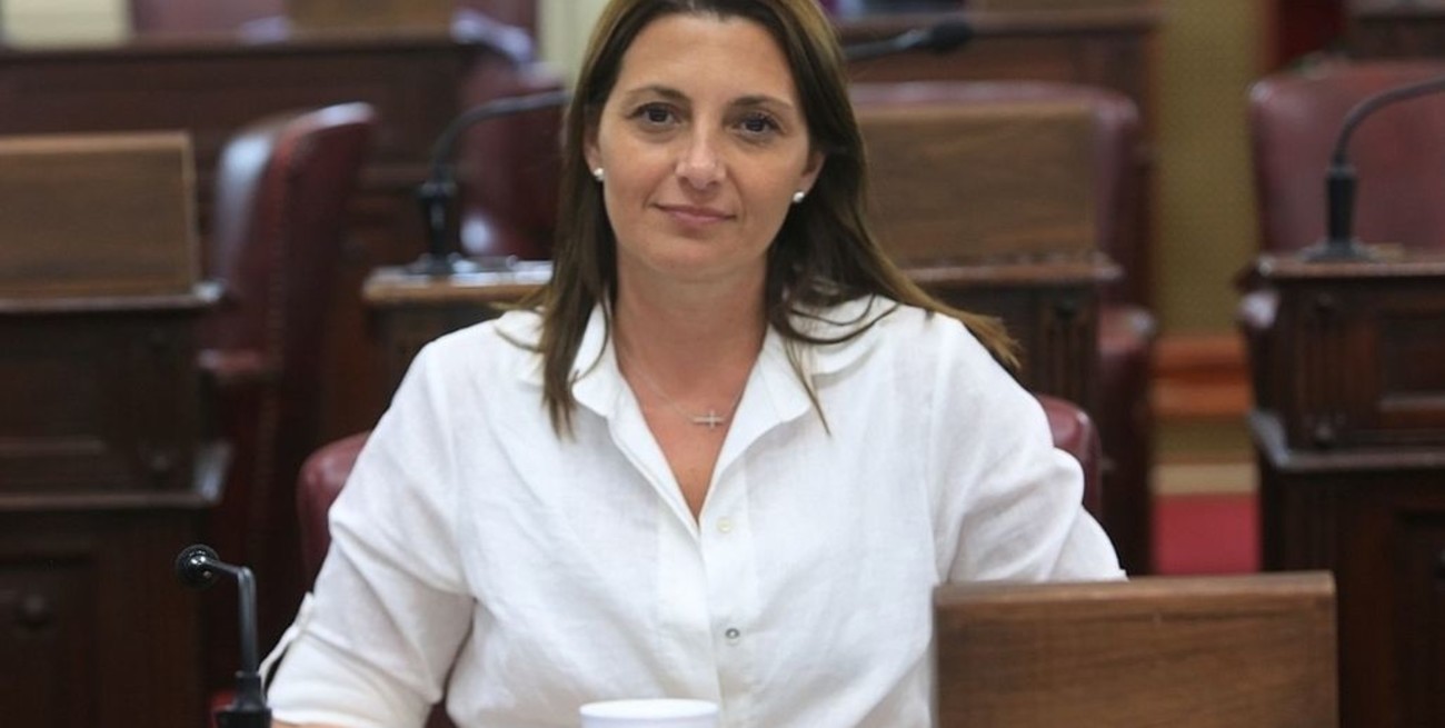 La diputada Florito pide que Sain vaya al recinto