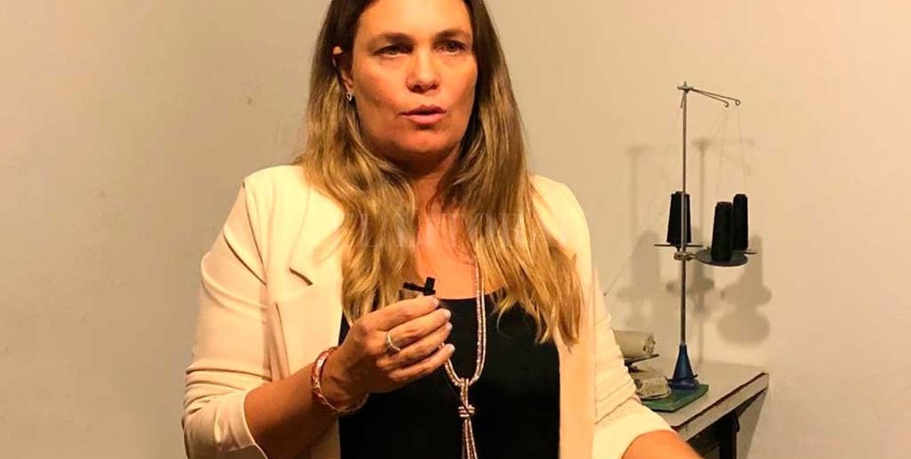 Di Stefano: "Le dimos al gobierno las herramientas para gobernar"