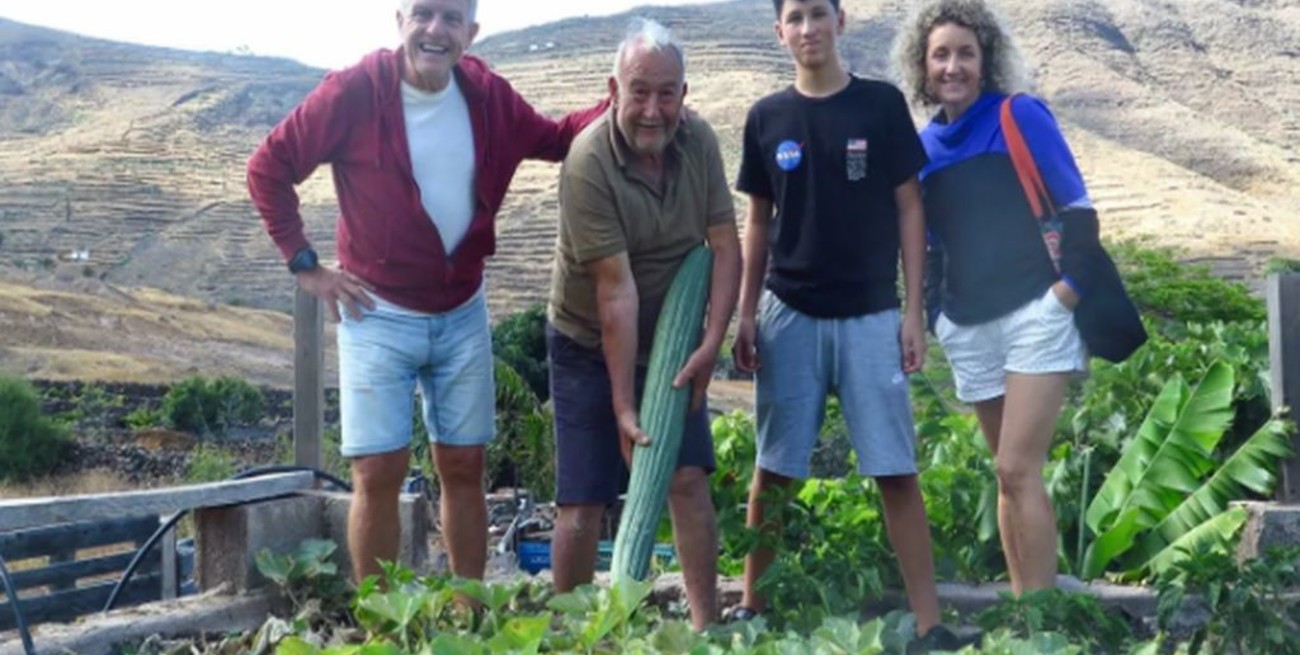 Video: cultivaron un pepino de un metro y ochos kilos en Canarias