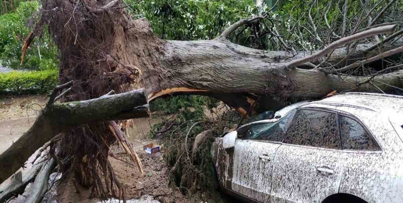 Un fuerte temporal azotó a Pinamar y dejó grandes destrozos