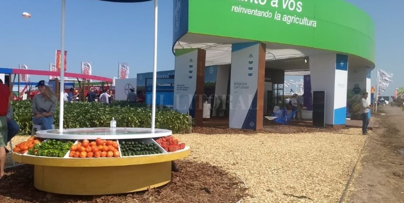 Semillero del futuro entra en su última etapa 