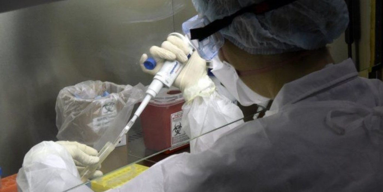 Covid -19: la OMS advirtió sobre nuevas variantes