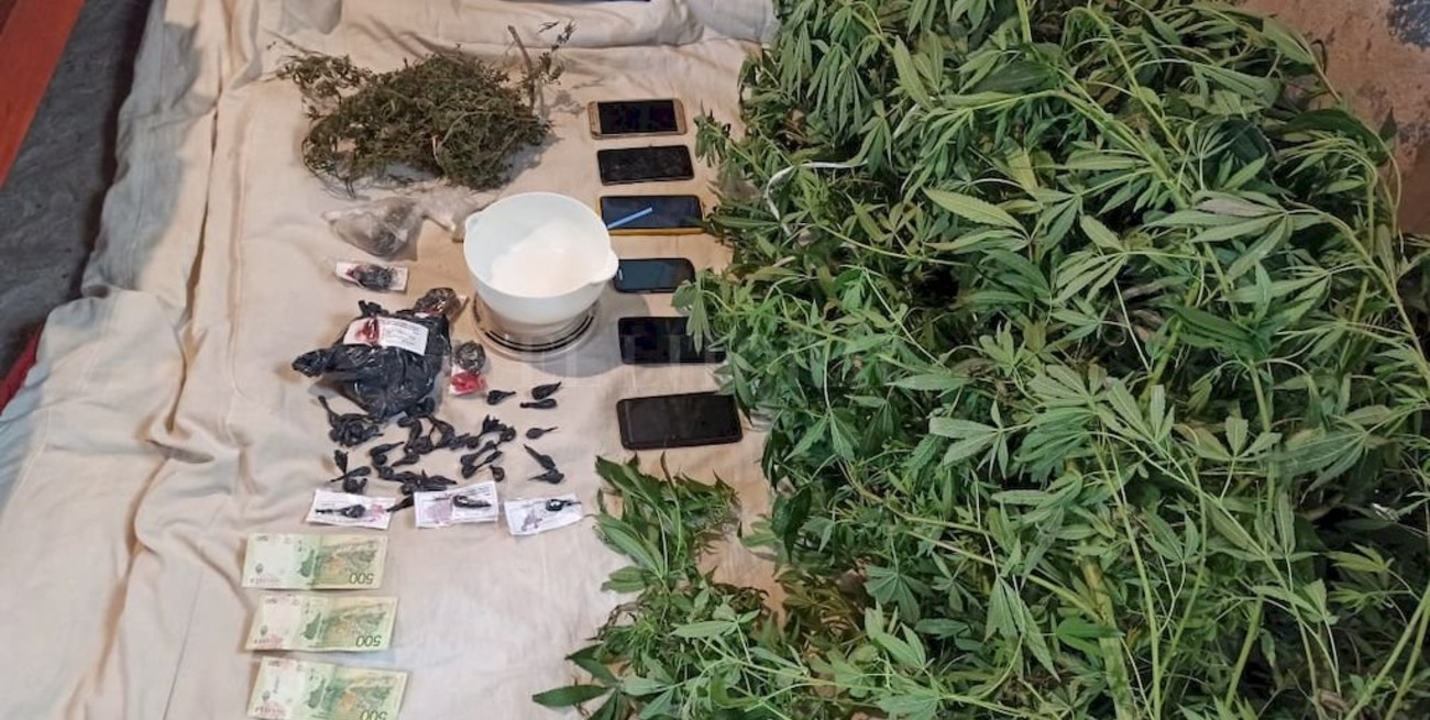 Detenidos con gran cantidad de marihuana y cocaína