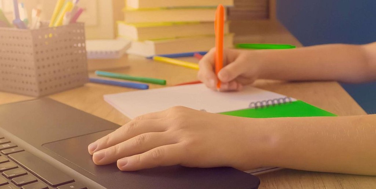 Ley de Conectividad: estudiantes santafesinos pidieron a los diputados que den tratamiento al proyecto