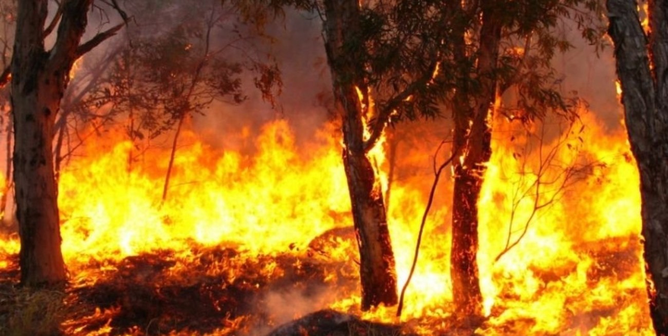 Se mantienen 4 focos activos de incendios en Entre Ríos