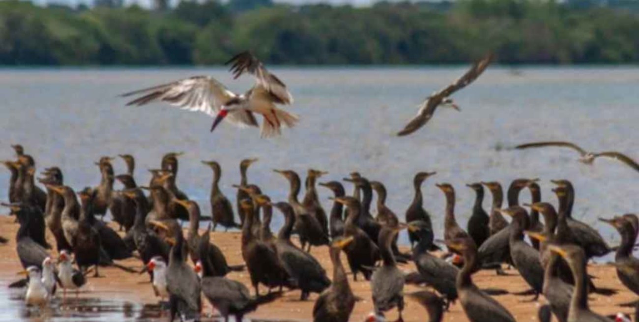 Corrientes celebró la creación del nuevo parque provincial Apipé Grande