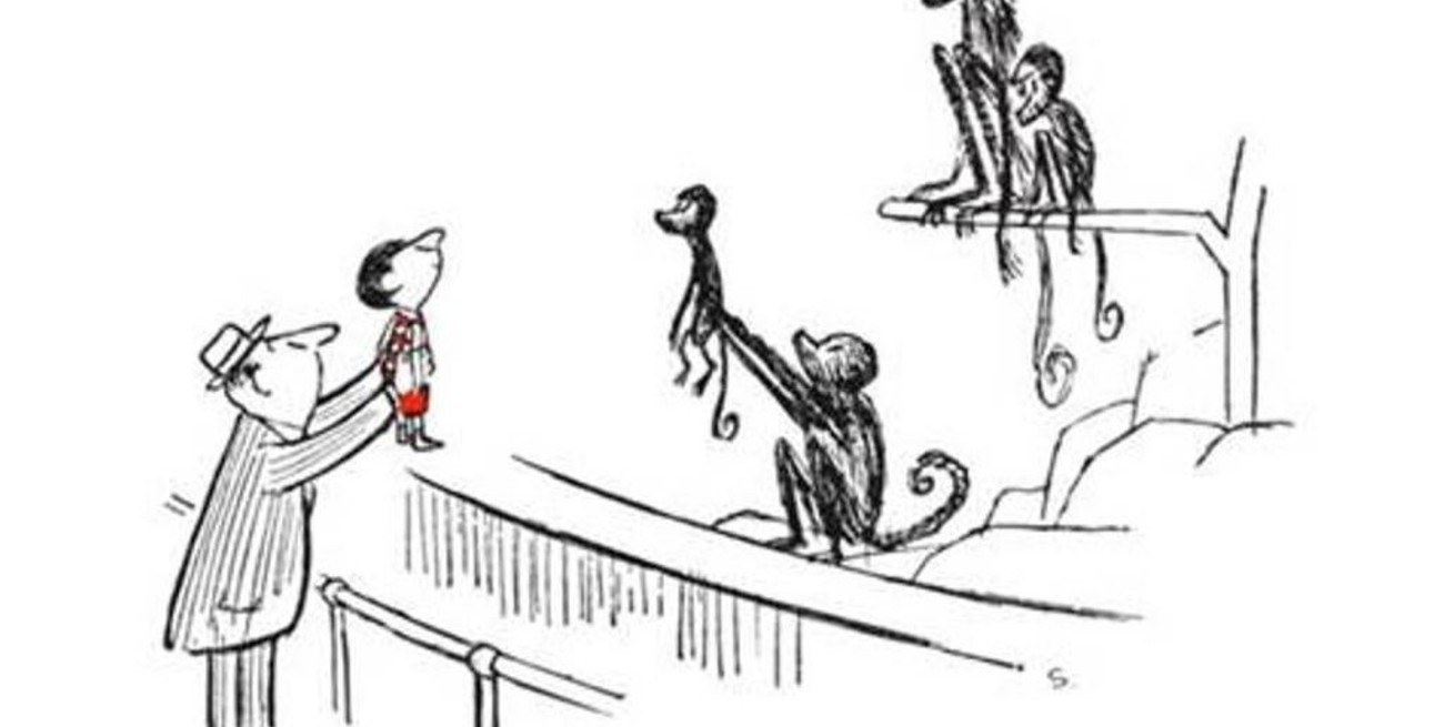 Las fotos de la peste