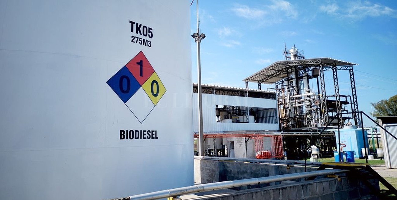 El biocombustible se recorta y la balanza energética empeora