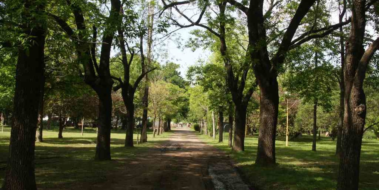 El Jardín Botánico, una opción para visitar durante el verano