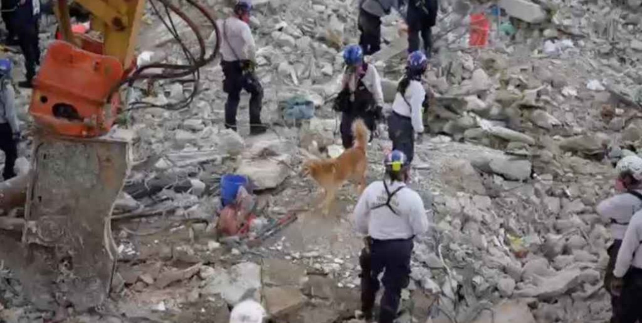 Hallaron ocho cuerpos más y ascienden a 36 los muertos tras el derrumbe del edificio en Miami 