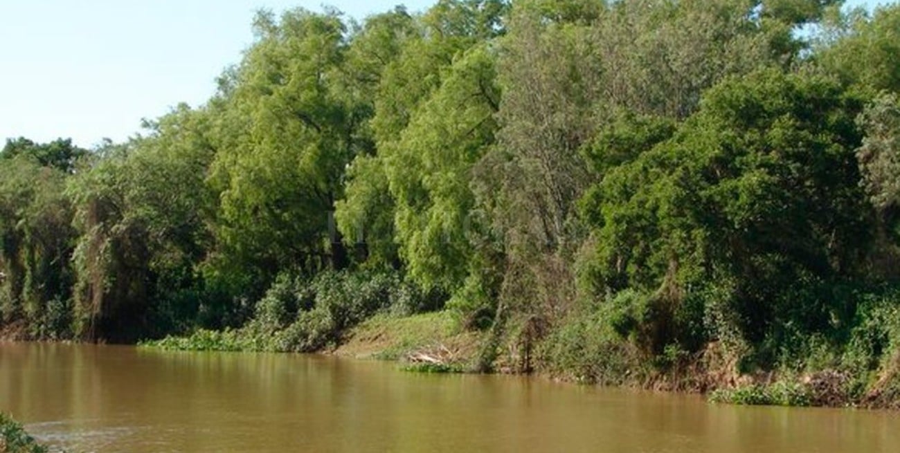 Media sanción para una nueva reserva natural en el sur de Santa Fe