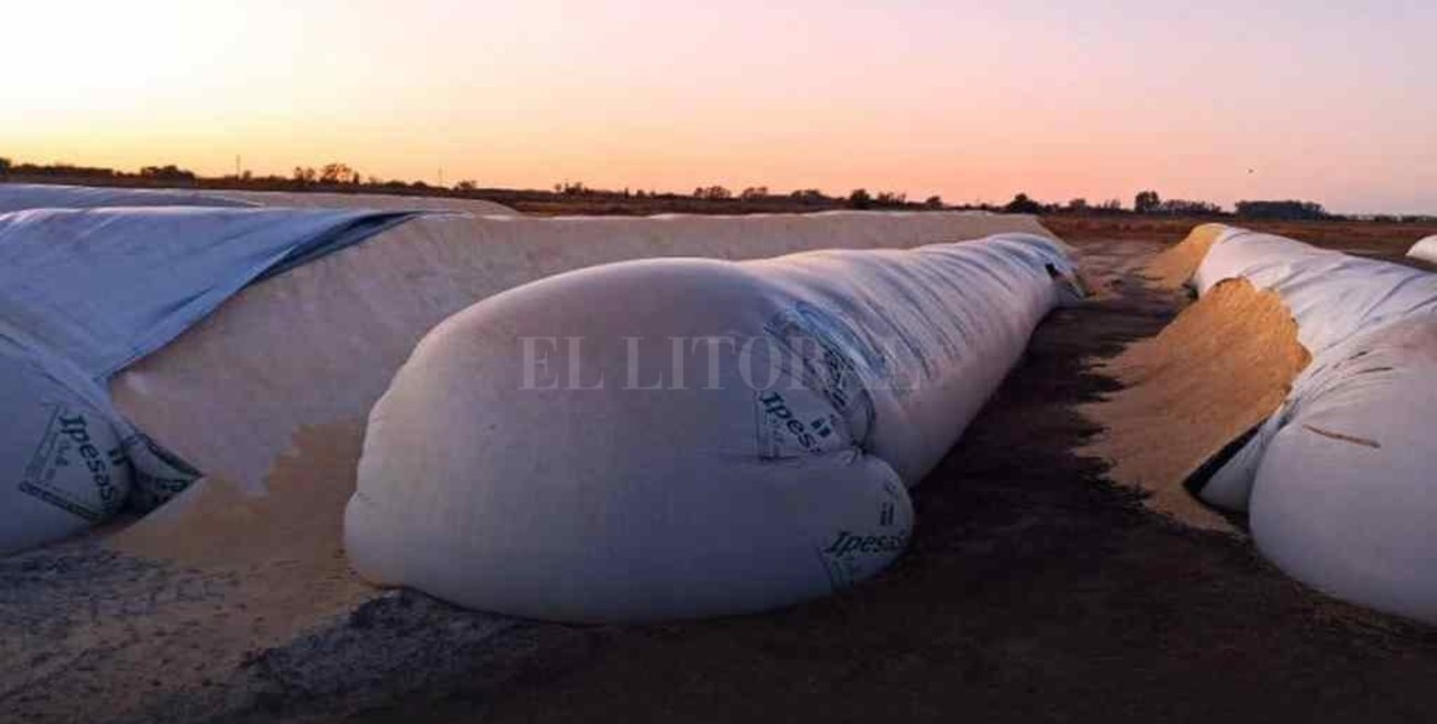 Real: "Repudiamos los hechos de vandalismo en zonas rurales de nuestra provincia"