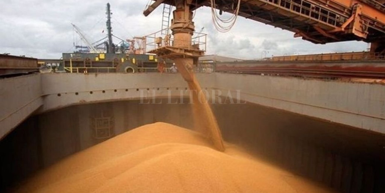 Empresarios denuncian que les impiden cargar granos en puertos