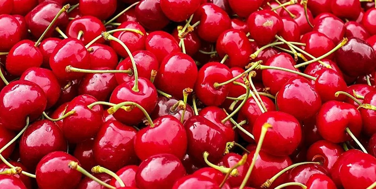 Japón: subastaron medio kilo de cerezas por casi 10.000 dólares