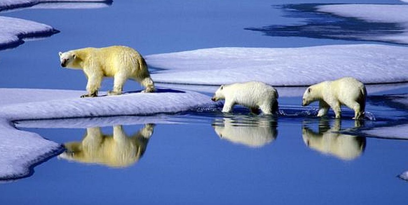 Se acelera el ritmo del deshielo en todo el planeta