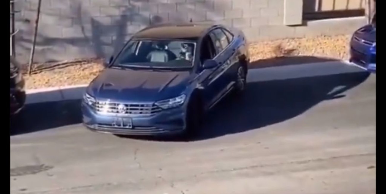 Le cuesta estacionar su auto y alguien acude a ayudar, pero no de la forma más lógica 