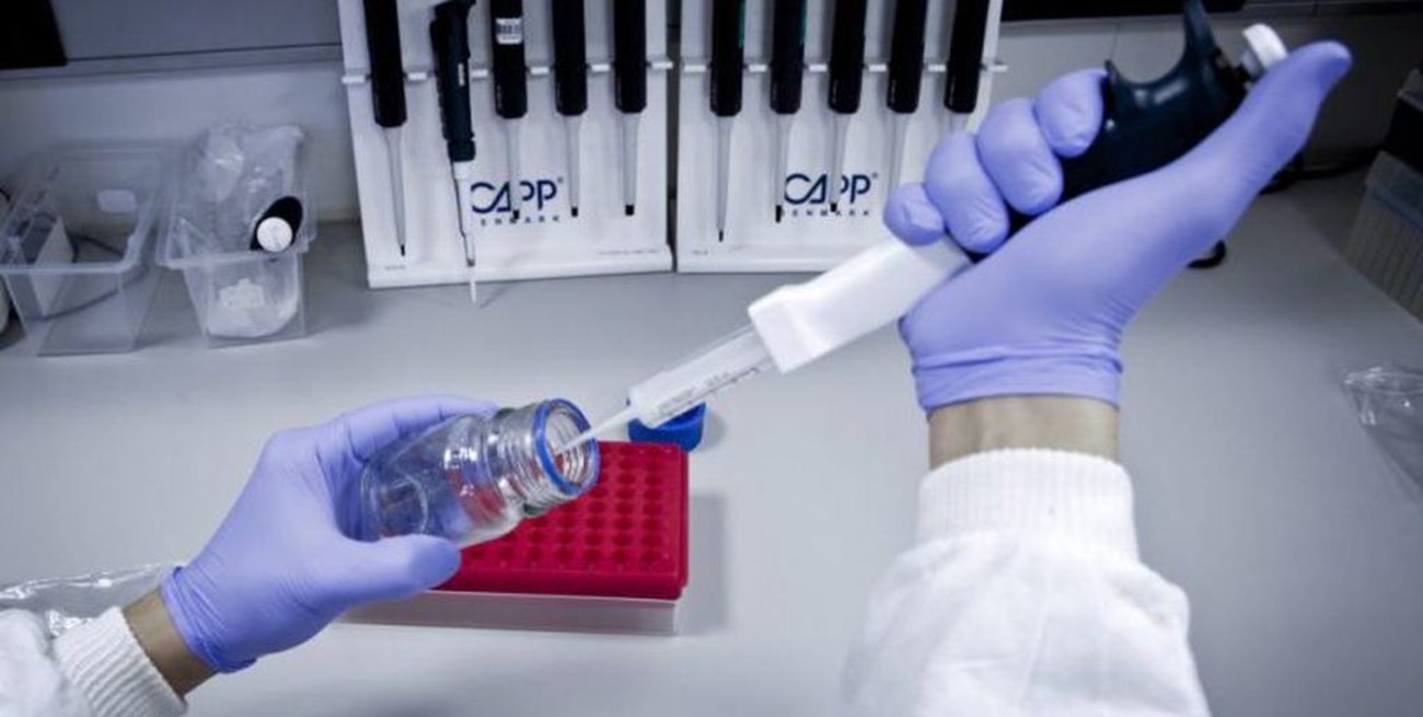 Ciencia: el Gobierno reflotó un proyecto para armar el mapa genético argentino