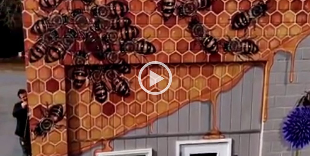Las abejas del muralista Matthew Willey recorrerán el mundo