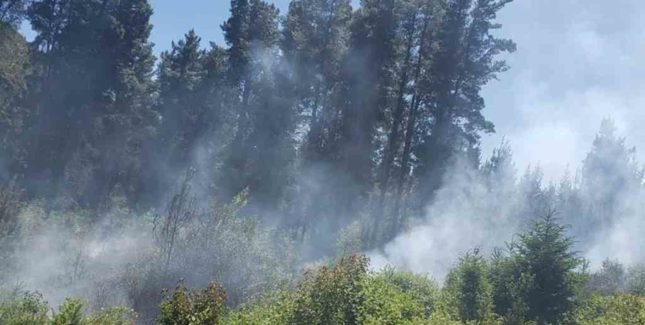 Se registran focos activos de incendios en La Pampa, Entre Ríos y Chubut