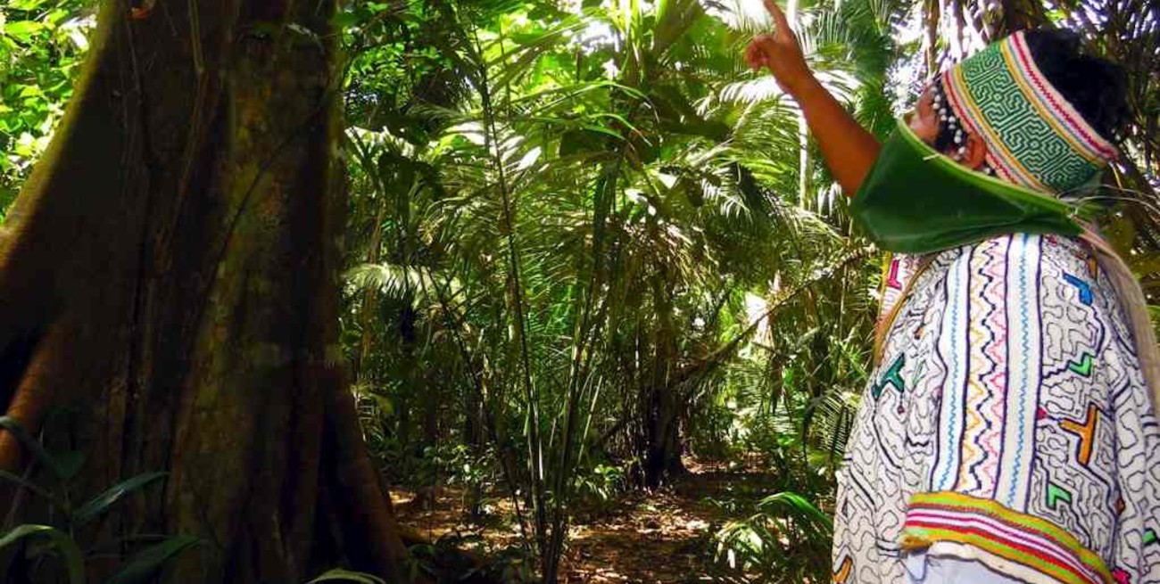 Bolivia: alertan sobre riesgo de "etnocidio" para algunas comunidades indígenas ante el coronavirus