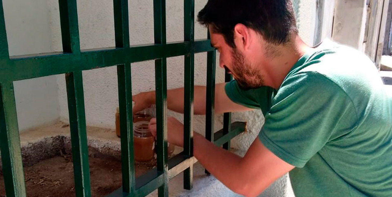 Dengue: la Municipalidad dispuso 100 puntos para monitorear el transmisor en la ciudad