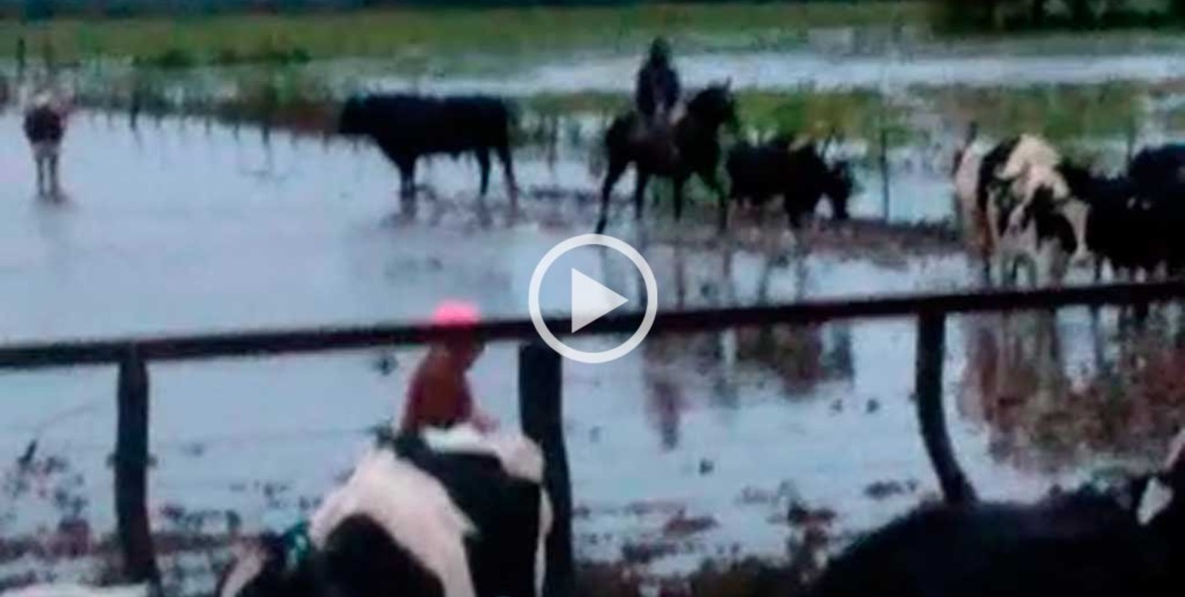 Video: cayeron 120 mm en Pedro Gómez Cello